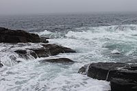 High tide near Thunder Hole, ME IMG 2439