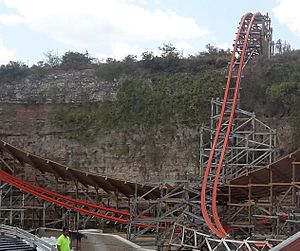 Iron Rattler 28 crop