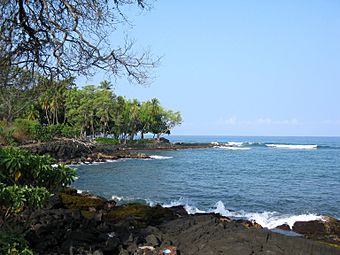 Kamoa Point, Kona.jpg