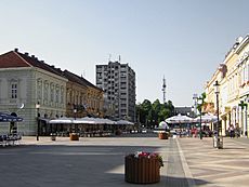 Korso slavonski brod