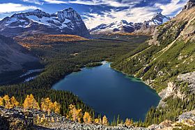 Lake O'Hara Yoho National Park