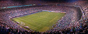 Mexico vs Iceland Panorama (4463906303)