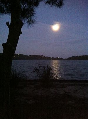 MoonlightNarrabeenLake