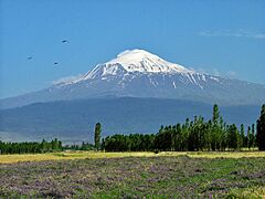 MountArarat