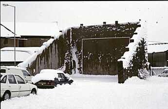 Nelson Handball Court