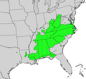 Oxydendrum map.png