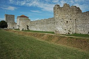 Portchester Castle - geograph.org.uk - 1413970