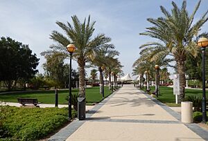 Qatar, Al Jumailiyah (7), park