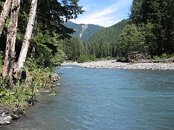 Queets river.jpg