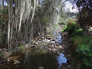 Río ráquira