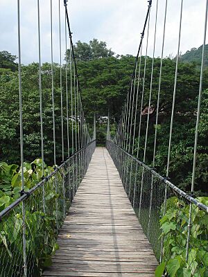 Sway bridge