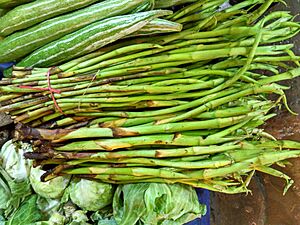 Taro stolons of Bangladesh