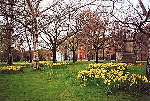 The Cathedral Green in Spring, Norwich - geograph.org.uk - 1510609