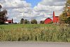 ThistleHaFarm,ON-1.JPG