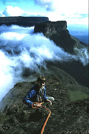 Tramen Tepui summit 1981