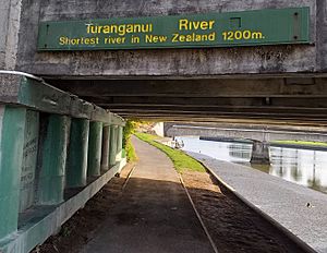 Turanganui River bridge