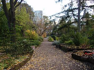 UT Botanical Garden1 2008