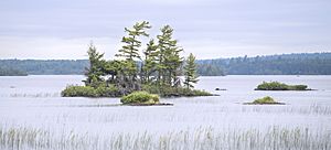 Voyageurs rainy lake