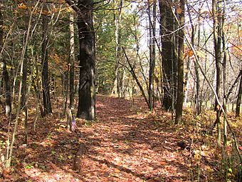 Weathersfield-Vermont-Historic-Crown-Point-Road-VT18.jpg