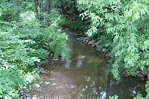 Wolf Run looking downstream