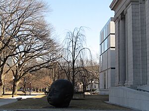 2010 MFA Boston Fenway