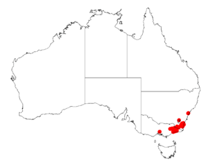 Acacia silvestrisDistMap821.png