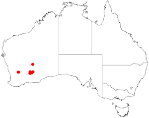 Acacia websteriDistMap956.png