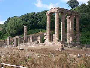 Antas Tempel1