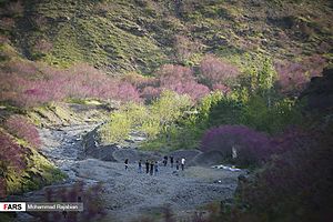 Arghavan Valley 2020-03-01 14