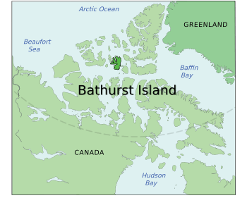 Bathurst Island.svg