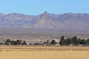 Boundary Cone from Mohave Valley 1