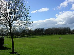 Buile Hill Park, Salford - geograph.org.uk - 2290.jpg