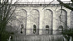 Canton Viaduct Waterfall