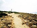 Cap de ses Salines