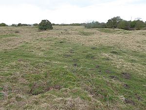 Collyweston Quarries 7.jpg