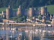 Conwy Castle DSC02168c