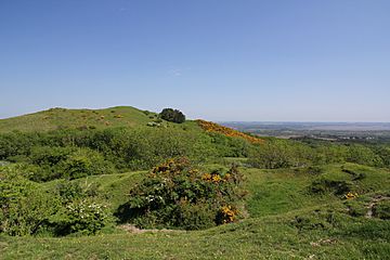 Creech Barrow Hill.JPG