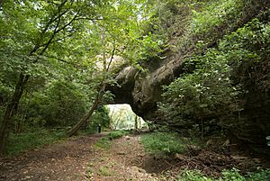 Creelsboro Natural Arch.jpg