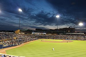 DBAP023 Durham Bulls DiscoverDurham