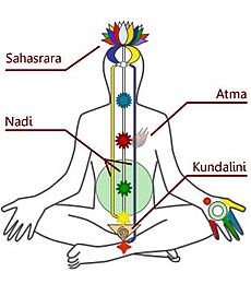 DiagrammaChakraKundalini