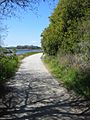 Elkhorn Slough