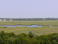 Figure8marsh