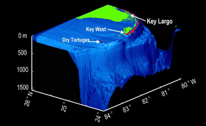 Florida reef tract