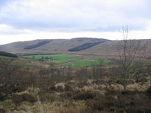 Glen Fruin