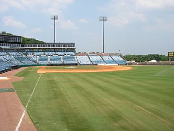 GreerStadium1stBaseLine