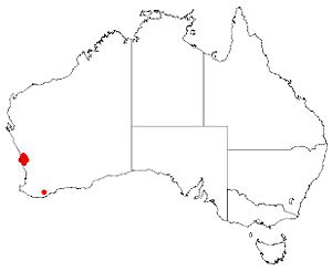 Hakea megalosperma DistMap.jpg