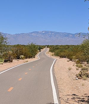 Harrison Greenway, facing north