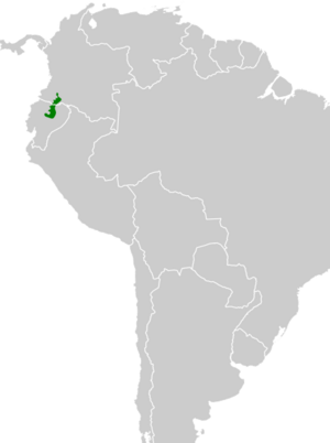 Heliodoxa gularis map.svg
