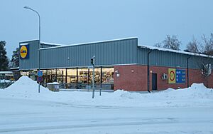 Lidl Tuirantie 14 Oulu 20240114 02