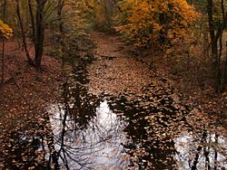 Lower vine brook Lexington